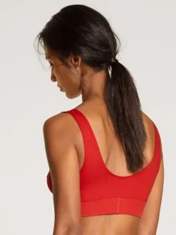 Titelseite -Geschenkideen Verkäufe Calida Elastic Bustier mit Softbund rot 02138 174 1